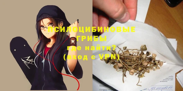 мескалин Алексин