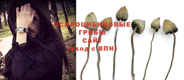ешки Алексеевка