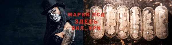 хмурый Алзамай