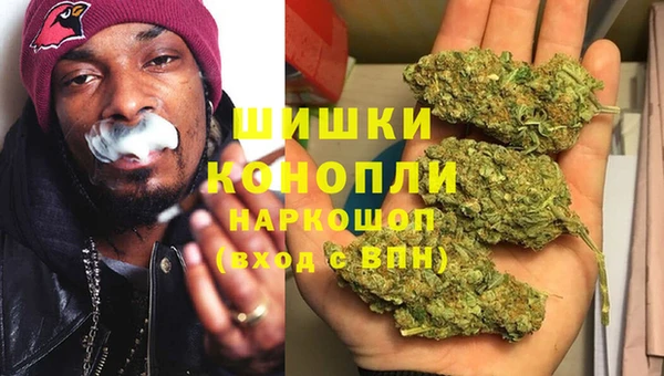 хмурый Алзамай