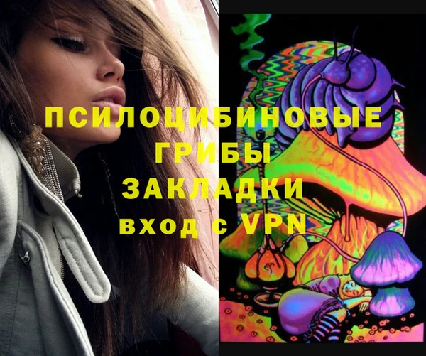 хмурый Алзамай