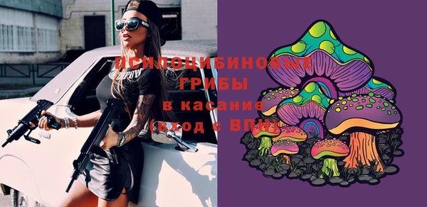 ешки Алексеевка